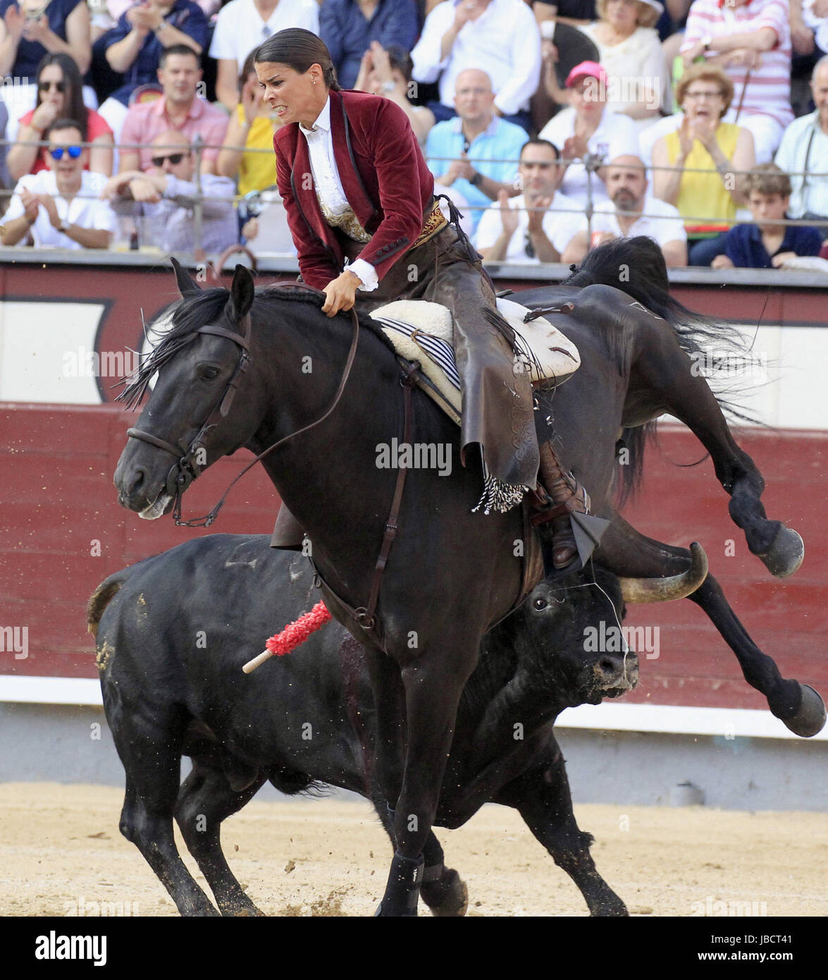 French mounted bullfighter Lea Vicens falls of her horse during the Stock Photo 144726513 Alamy