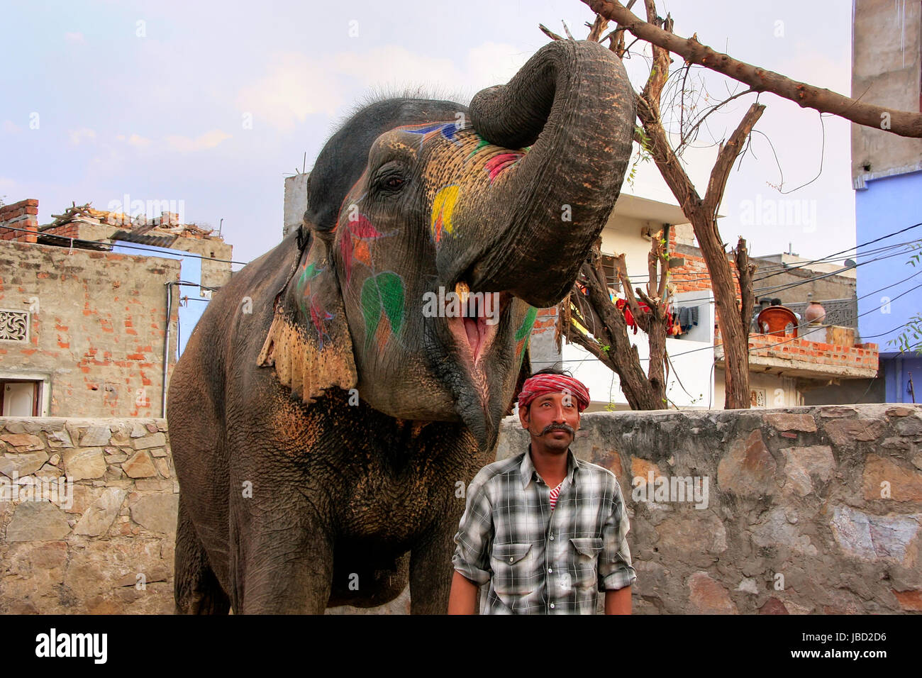 Mahout standing with painted elephant at small elephant quarters in Jaipur, Rajasthan, India. Elephants are used for rides and other tourist activitie Stock Photo