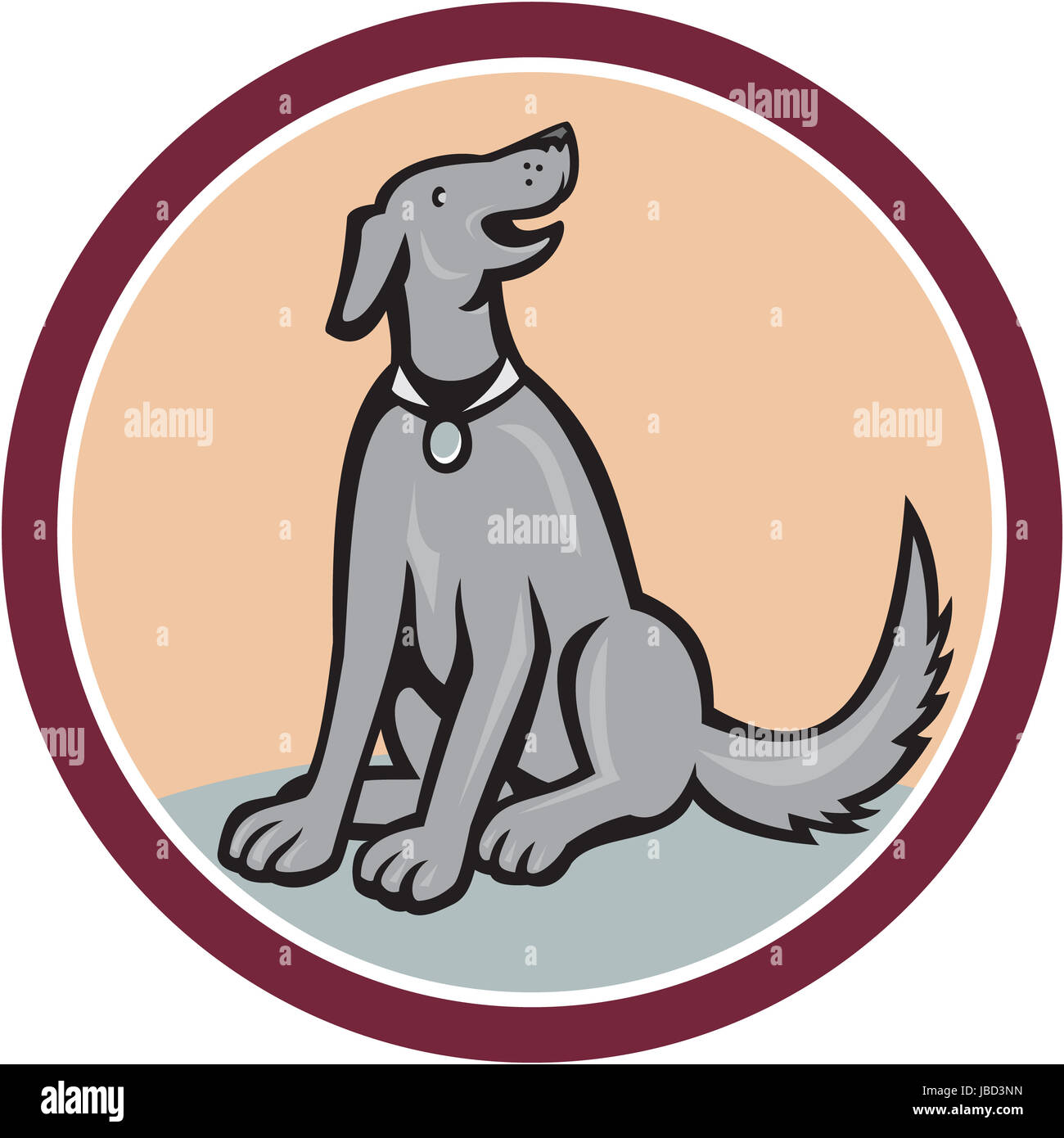 Why Do Dogs Spin Before Sitting Down