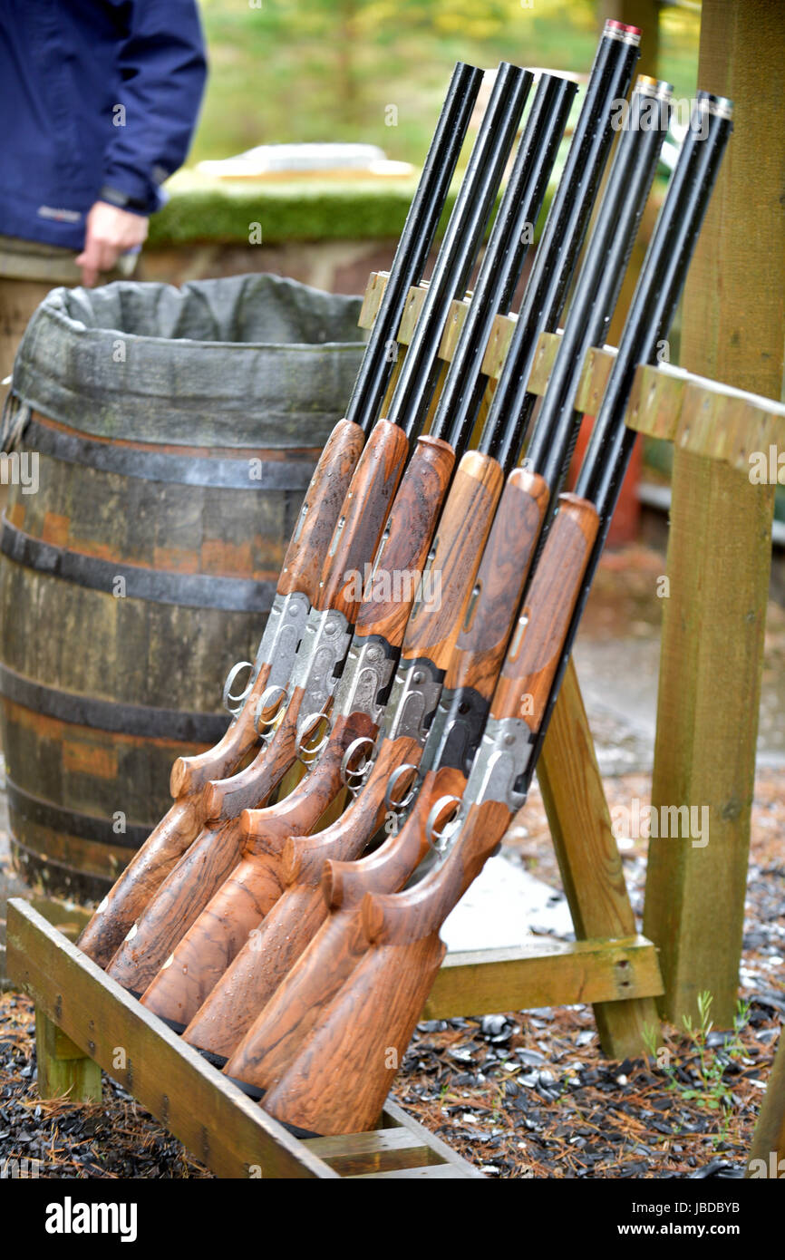 Rack of shotguns Stock Photo