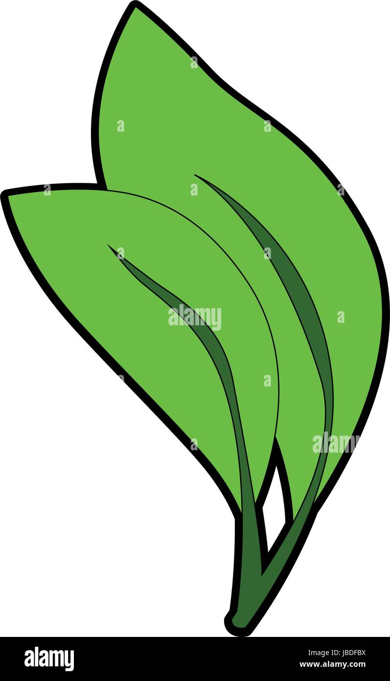 leaves icon image Stock Vector Image & Art - Alamy