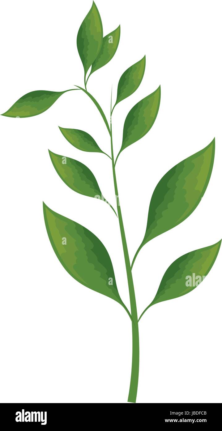 tropical leaves icon Stock Vector Image & Art - Alamy