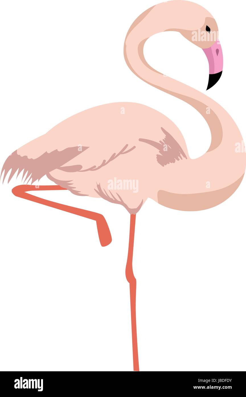 flamingo bird icon Stock Vector Image & Art - Alamy