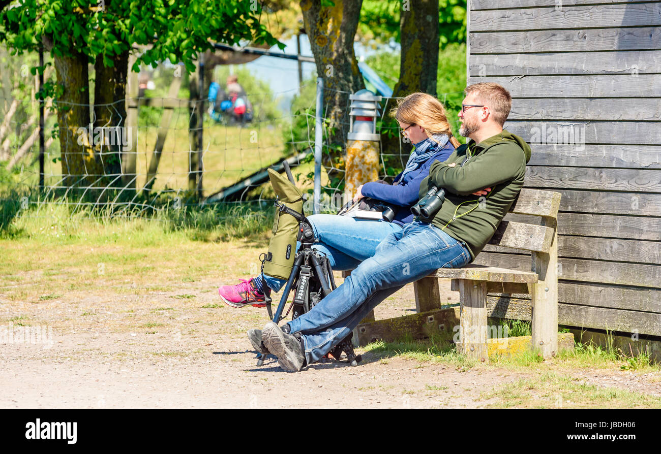 Ottenby, Sweden - May 27, 2017: Environmental documentary. Two birdwatchers resting on a wooden bench. Binoculars around necks and spotting scope on t Stock Photo