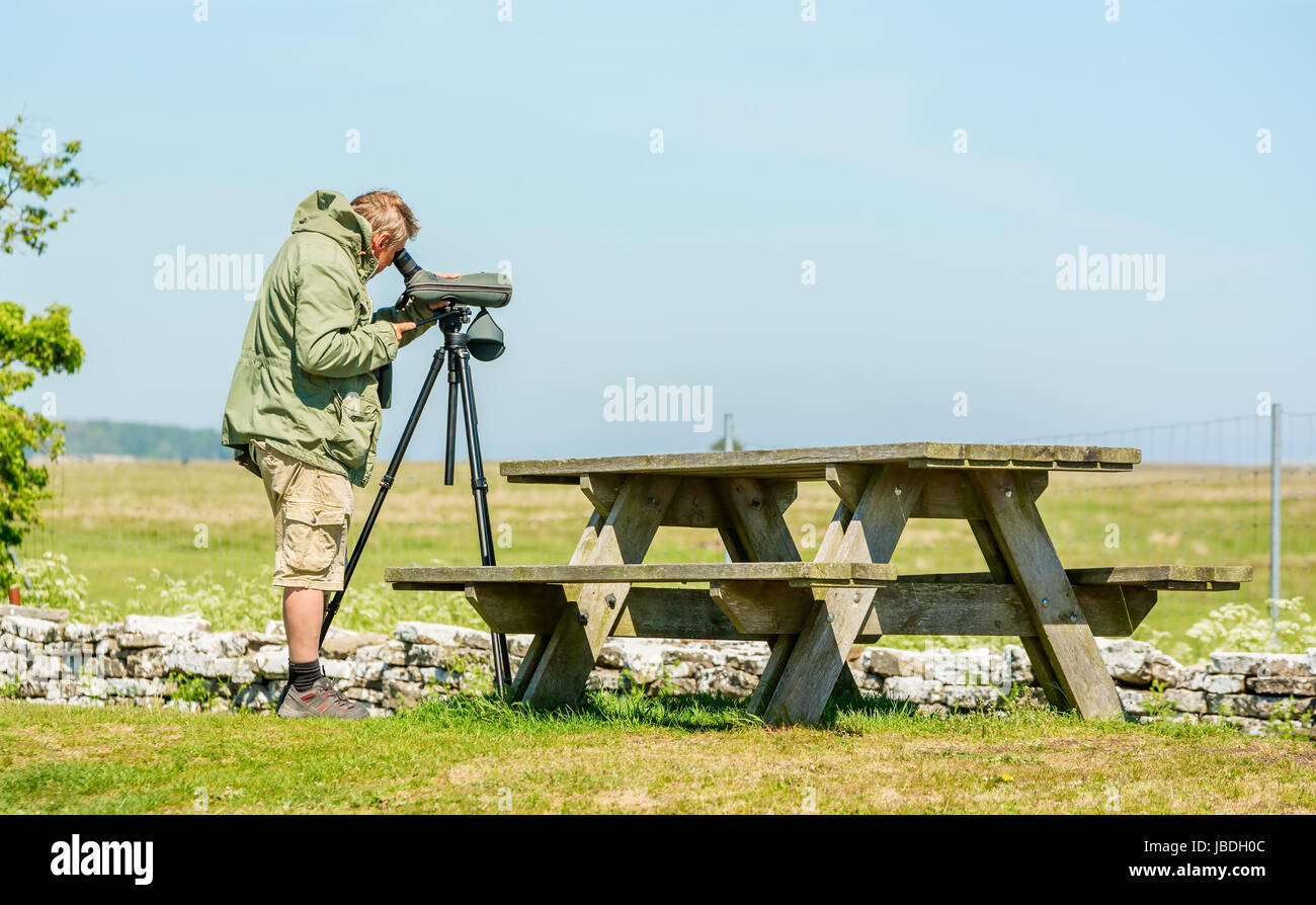 Ottenby, Sweden - May 27, 2017: Environmental documentary. Male birdwatcher looking out over the landscape using spotting scope or monocular. Spotting Stock Photo