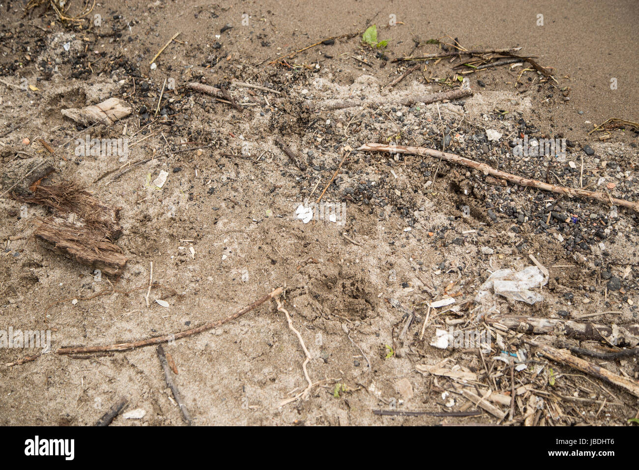 Debris washed ashore hires stock photography and images Alamy