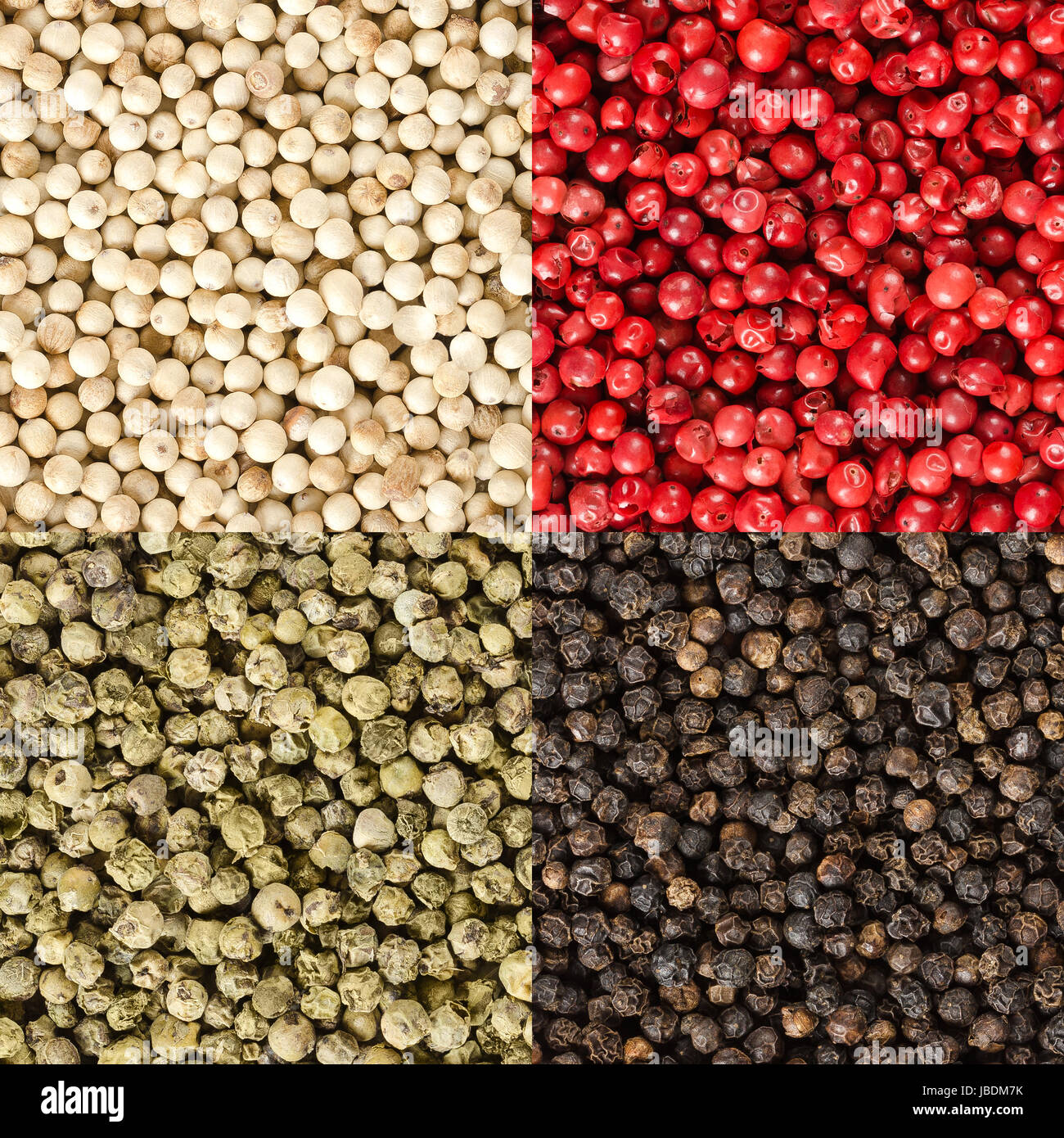 Four variations of peppercorns in a square. Black, white, green and pink pepper. Dried berries of Piper nigrum and Schinus terebinthifolia. Stock Photo