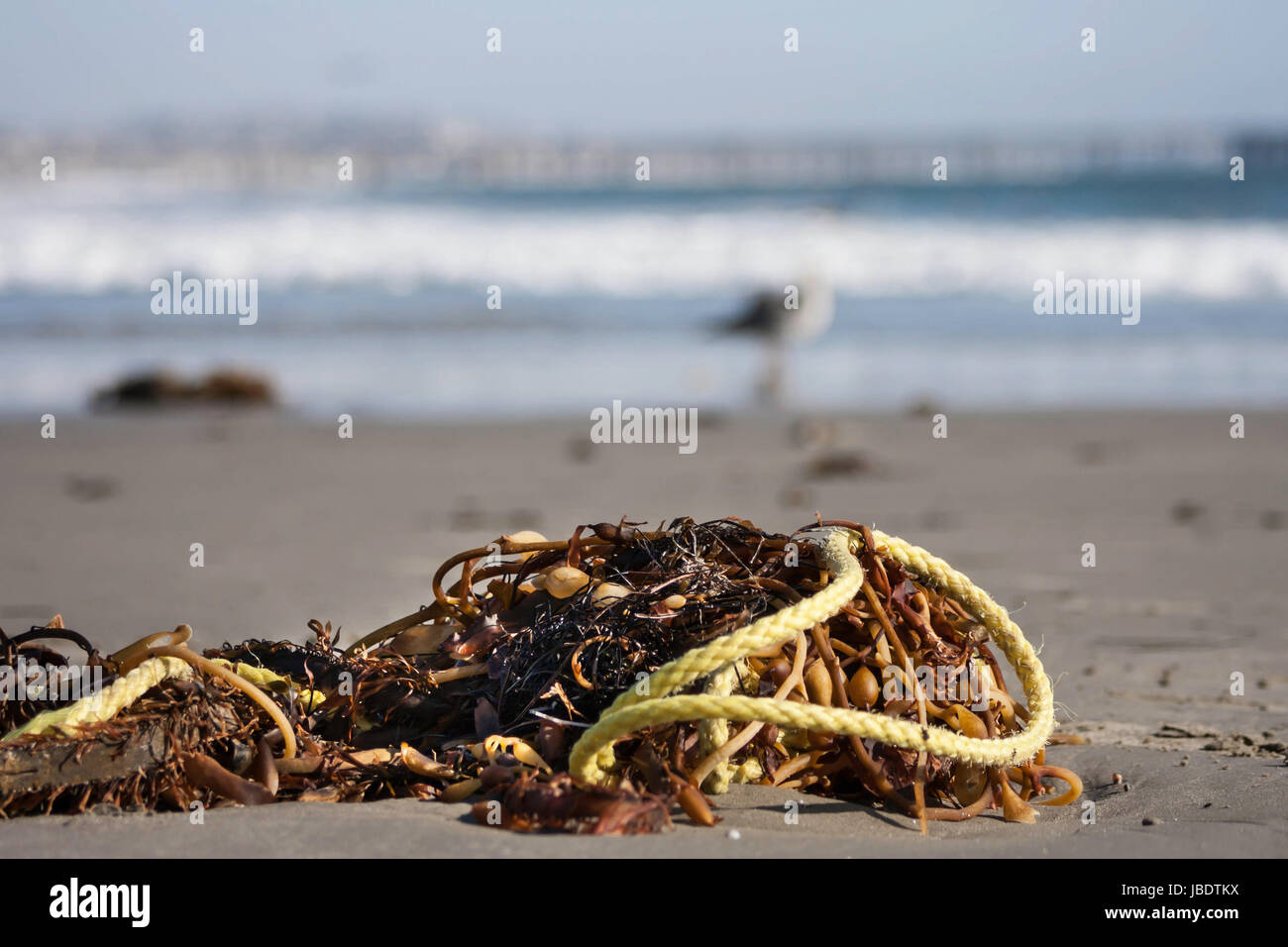 flotsam and jetsam Stock Photo Alamy