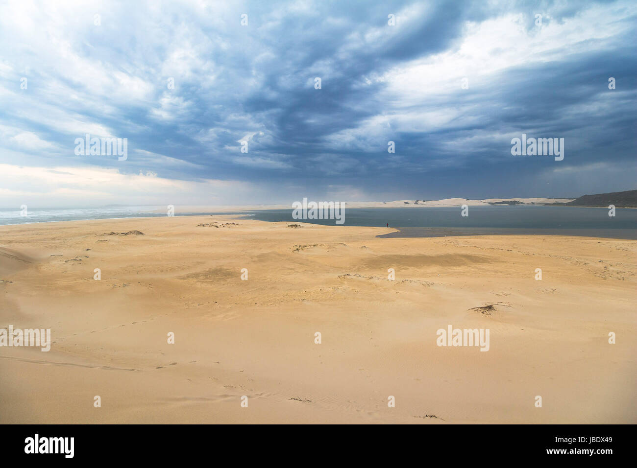 Big sand dunes in woody cape section of Addo Elephant Park Stock Photo ...