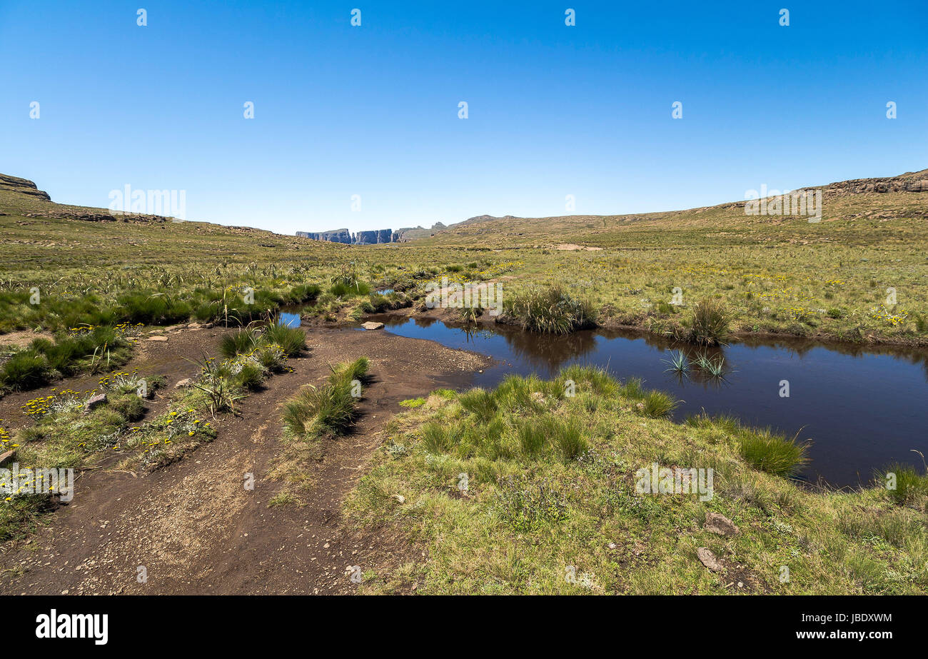 Sentinel Hiking Plateau at Sentinel Hike in the Drakensberge region, South Africa Stock ...