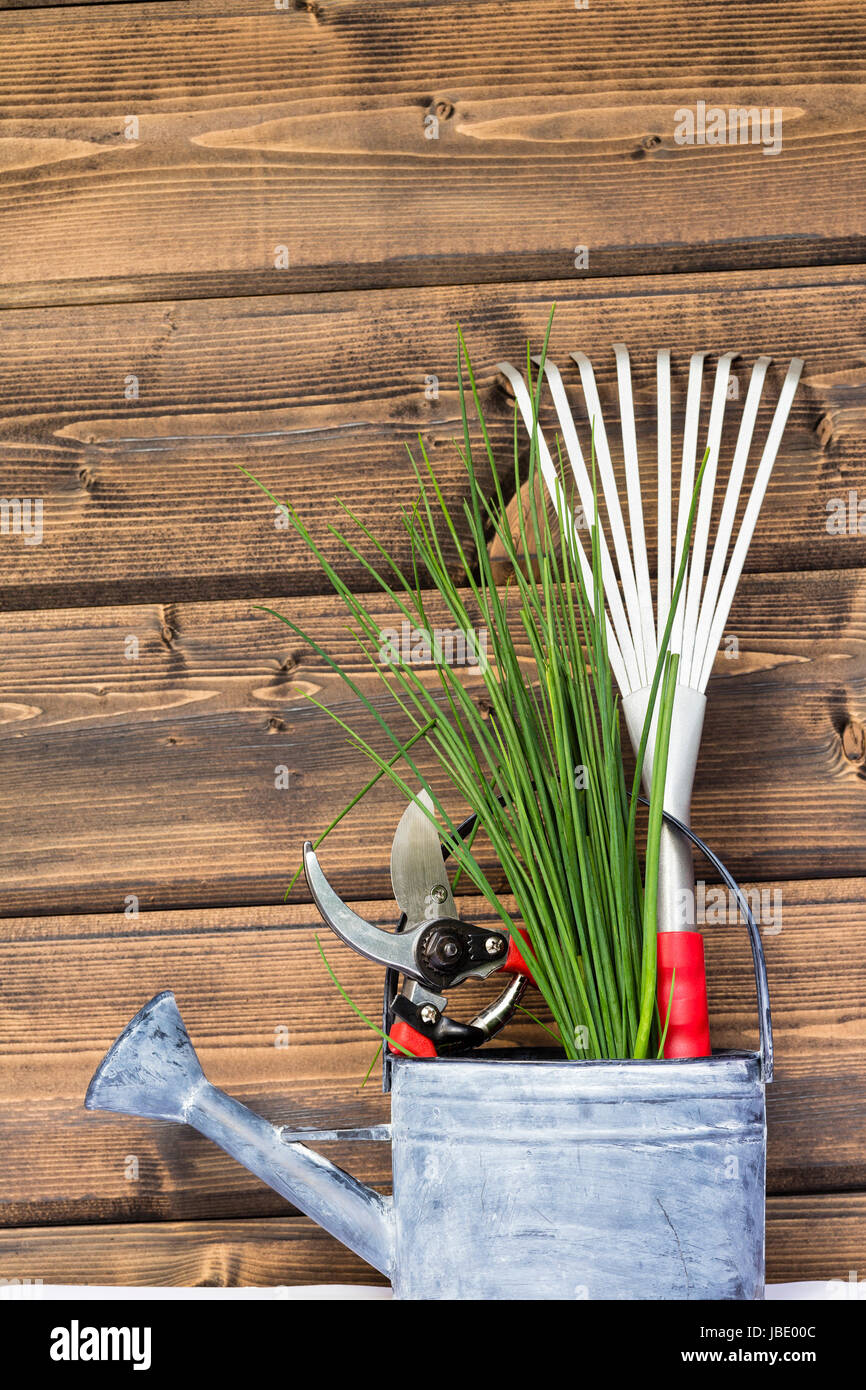 Schnittlauch mit Gartenschere und Laubrechen in einer Giesskanne, Chives with pair of scissors and rake in a watering can Stock Photo