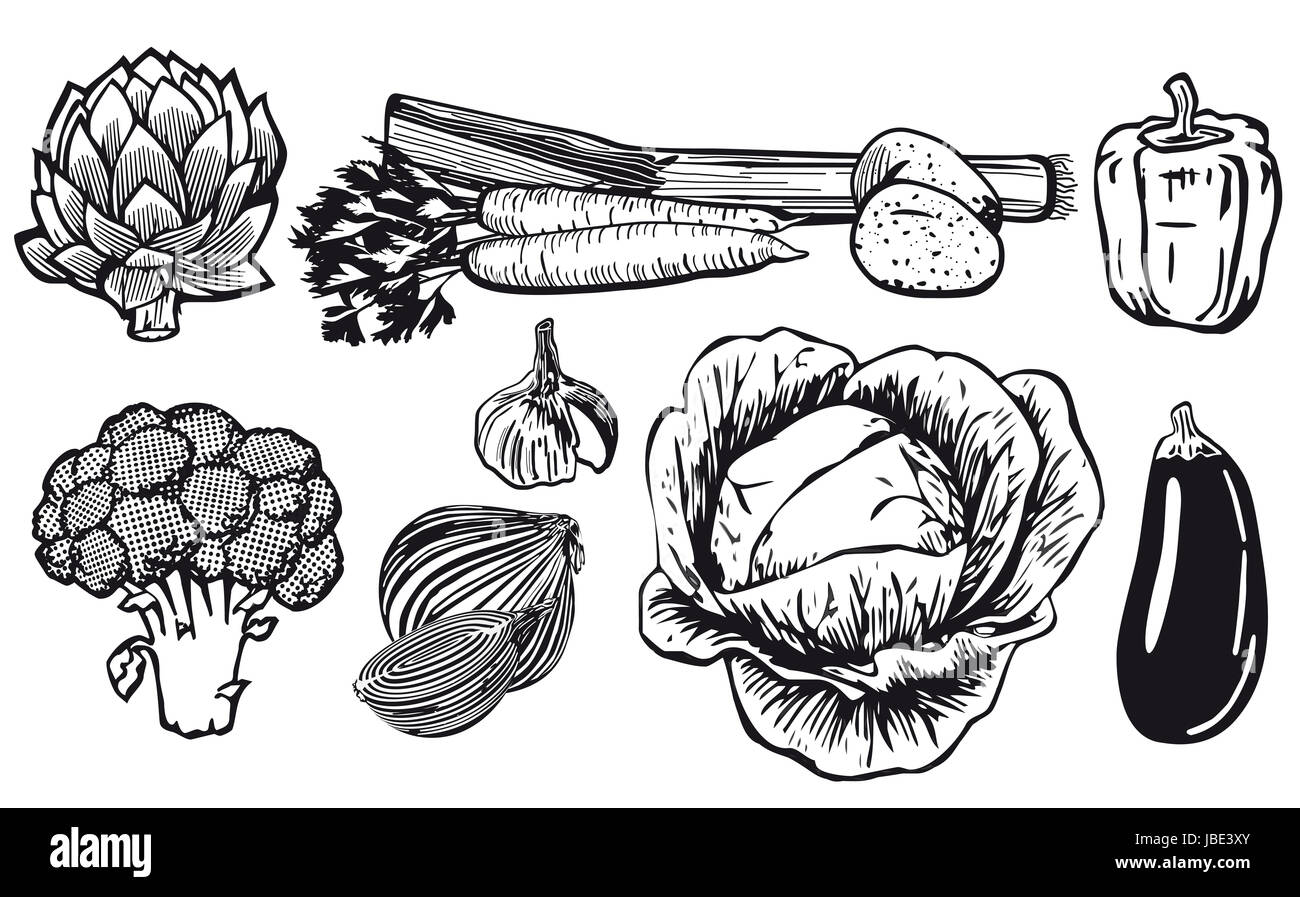 Vegetables drawing Cut Out Stock Images & Pictures Alamy