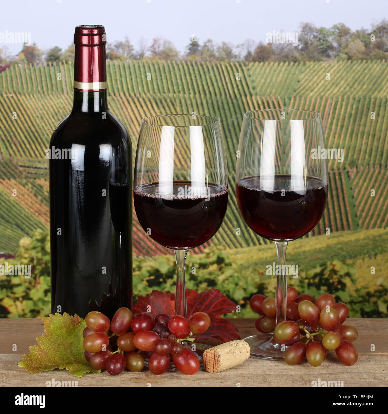 Rotwein in Weingläsern in den Weinbergen mit Weintrauben Stock Photo