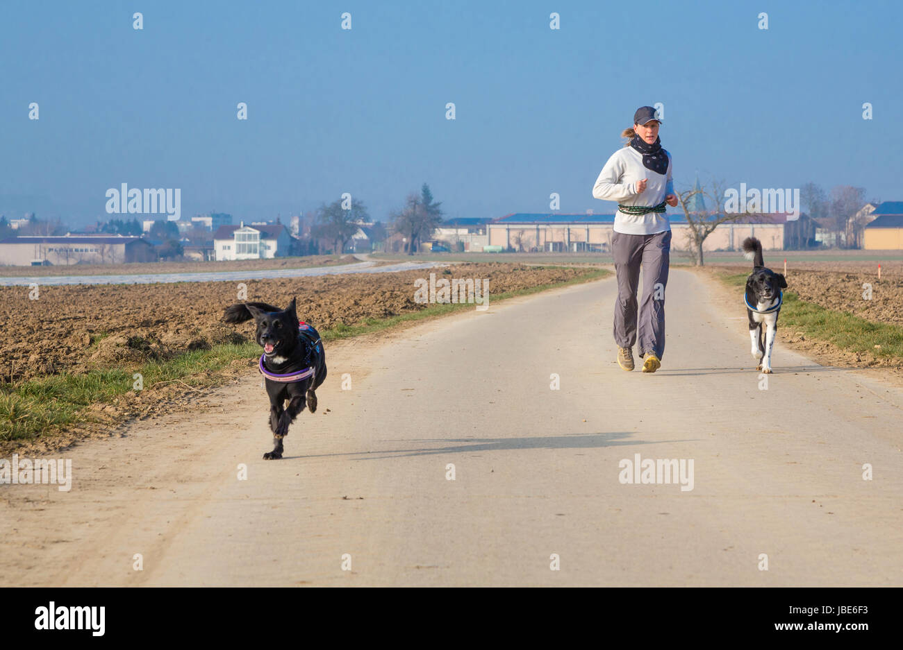 junge Frau mit Hunden beim Laufsport am Morgen Stock Photo