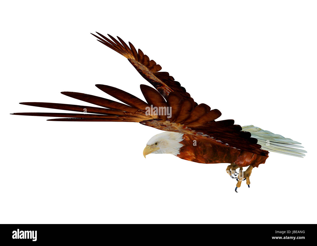3D digital render of a flying eagle isolated on white background Stock Photo - Alamy 3D digital render of a flying eagle isolated on white background Stock Photo - Alamy