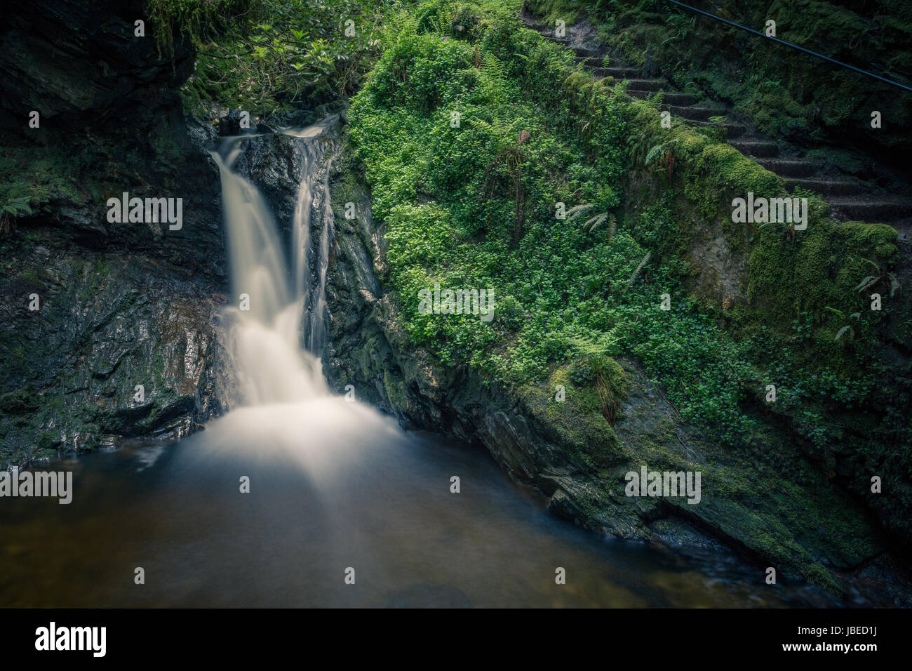 Puck's Glen, Argyll Forest Park, by Dunoon.  A magical gorge with tumbling waterfalls beneath a canopy of Douglas Firs.  Enchanting and ethereal. Stock Photo