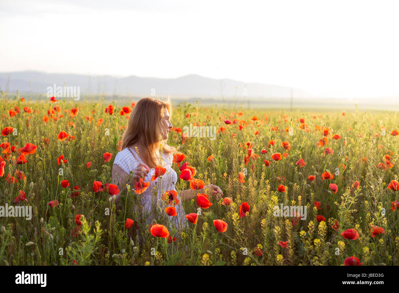 Woman in white dress standing in a full field of poppies Stock Photo ...