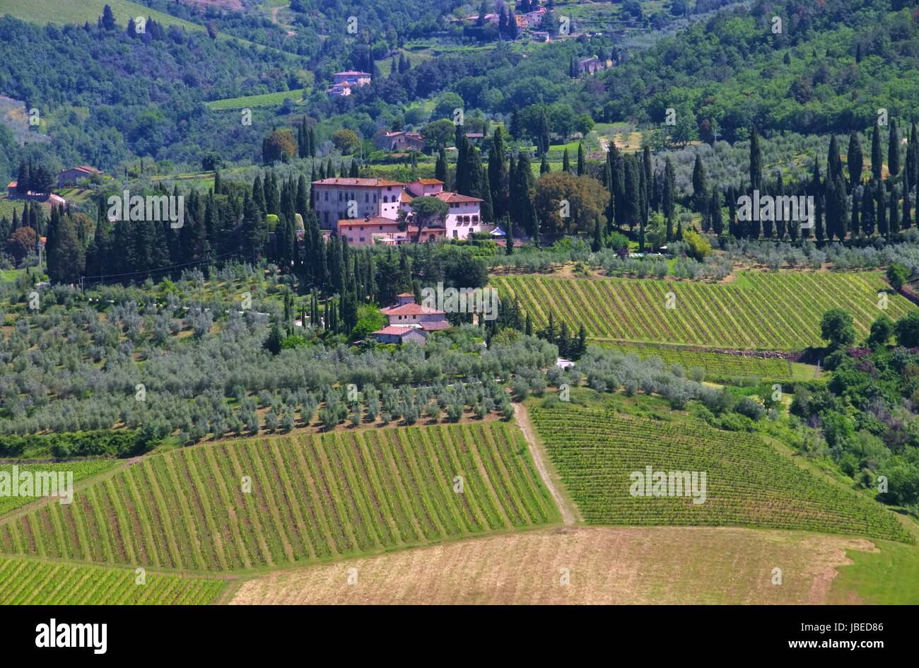 Toskana Weingut - Tuscany vineyard 07 Stock Photo