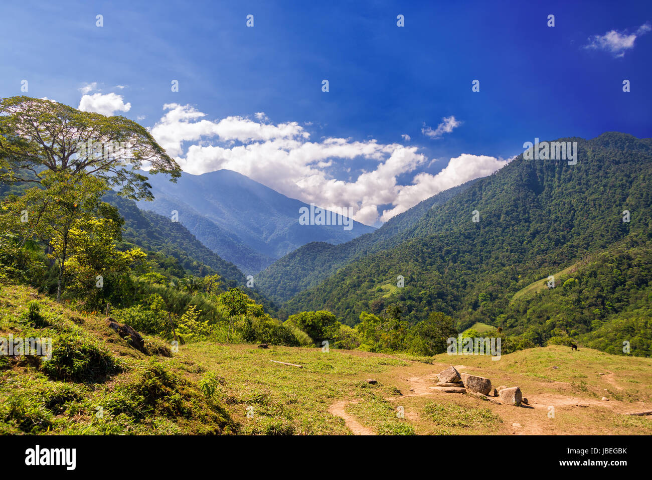 Lush green hills in the Sierra Nevada de Santa Marta mountain range ...