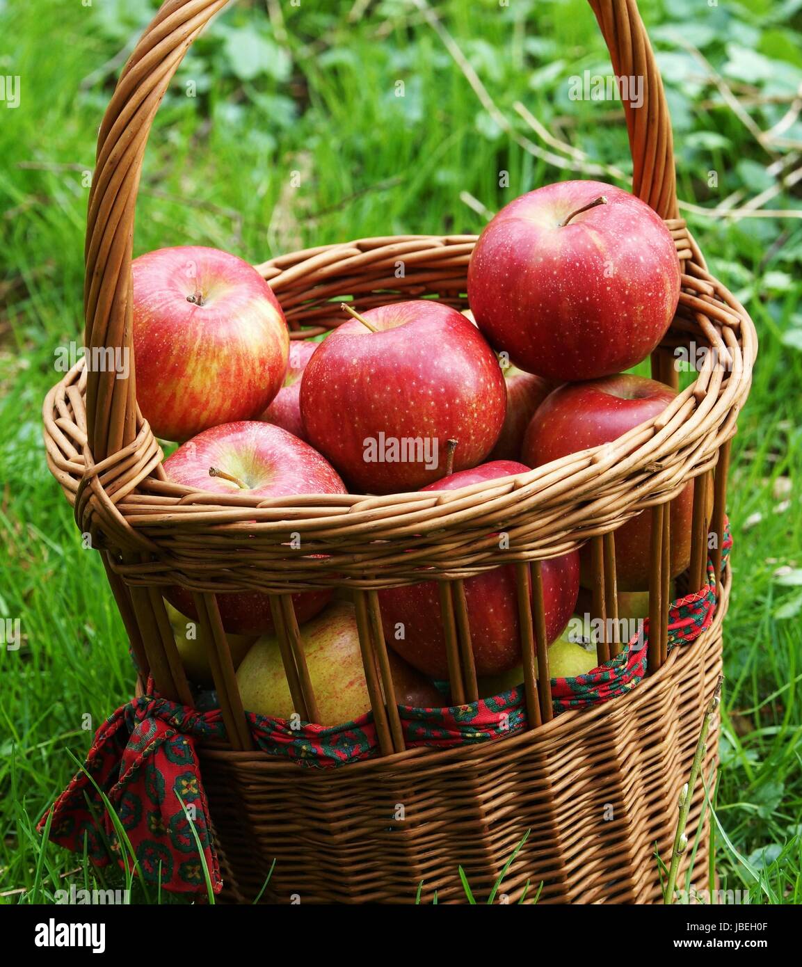 apples apple Stock Photo
