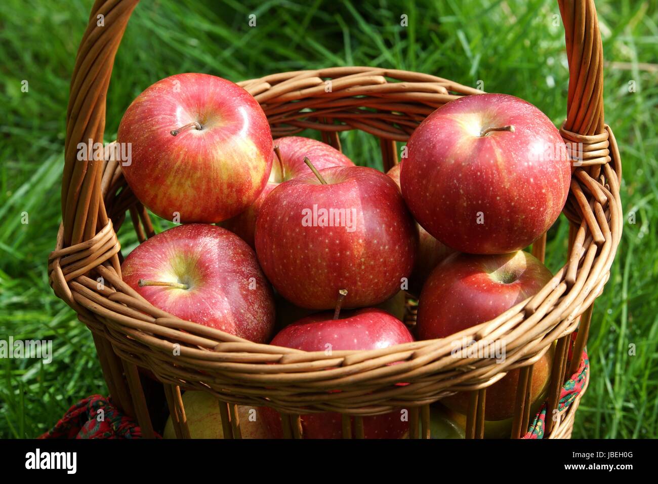 basket with red apples Stock Photo