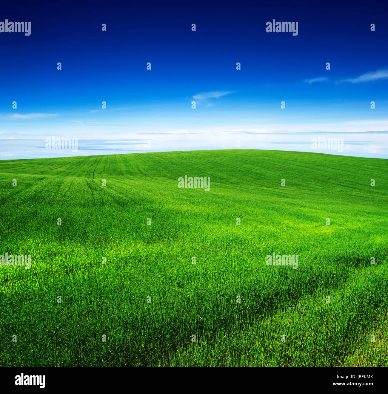 green field and blue sky Stock Photo - Alamy