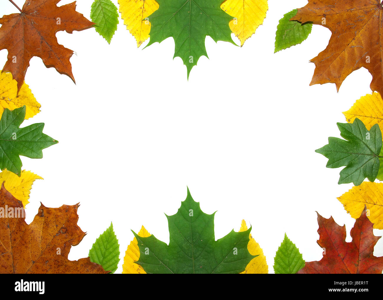 Frame with colored autumn maple leaves - white background Stock Photo ...