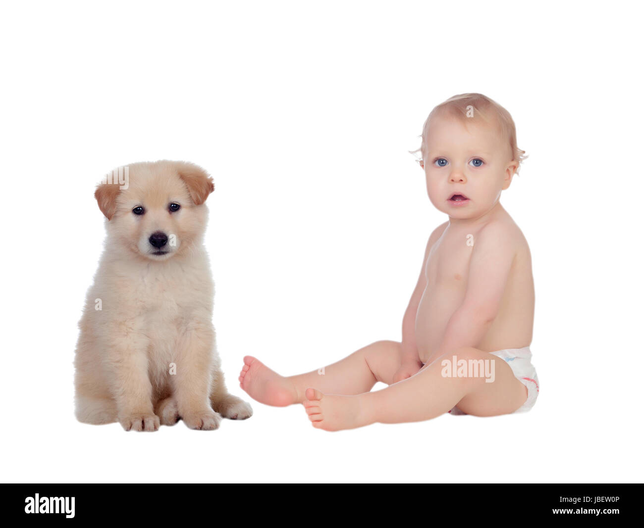 Beautiful baby and a Nice dog with soft white hair sitting isolated Stock  Photo - Alamy
