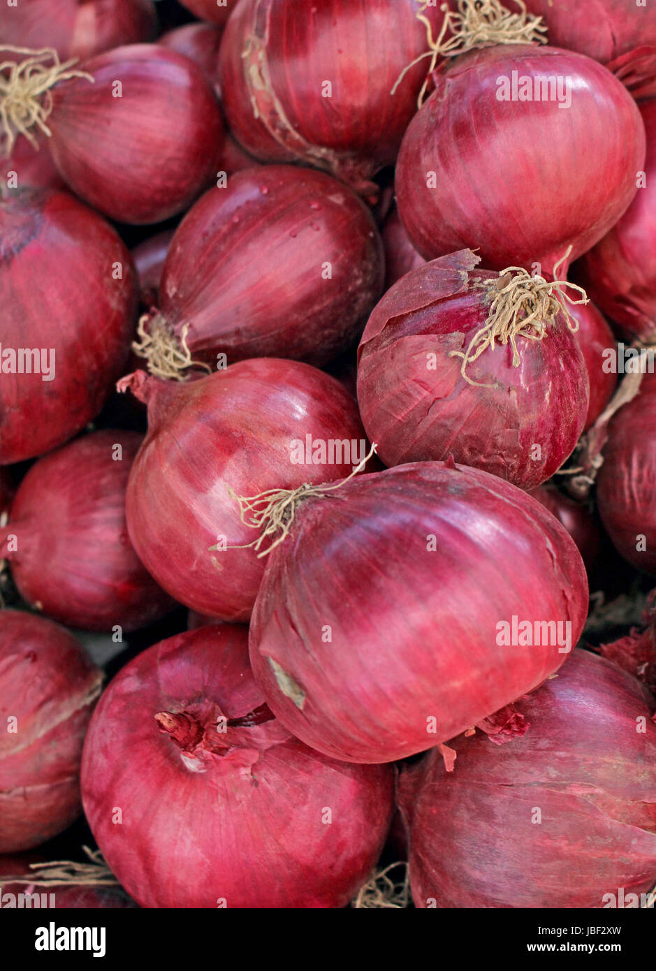 Big pile of organic red onion bulbs Stock Photo Alamy