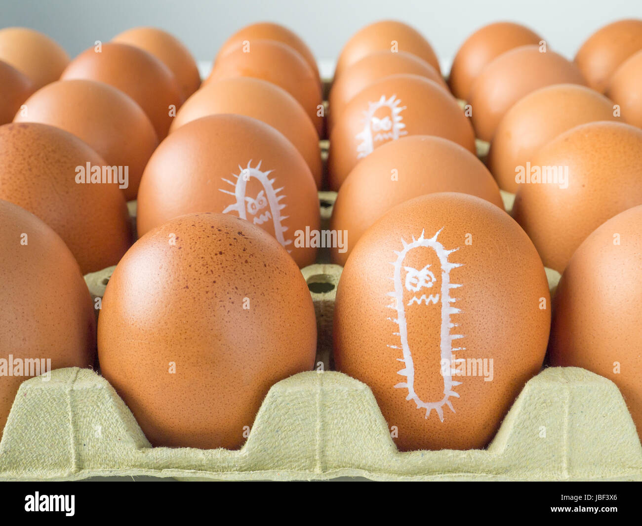 Salmonella bacterium drawn on the chicken eggs concept Stock Photo