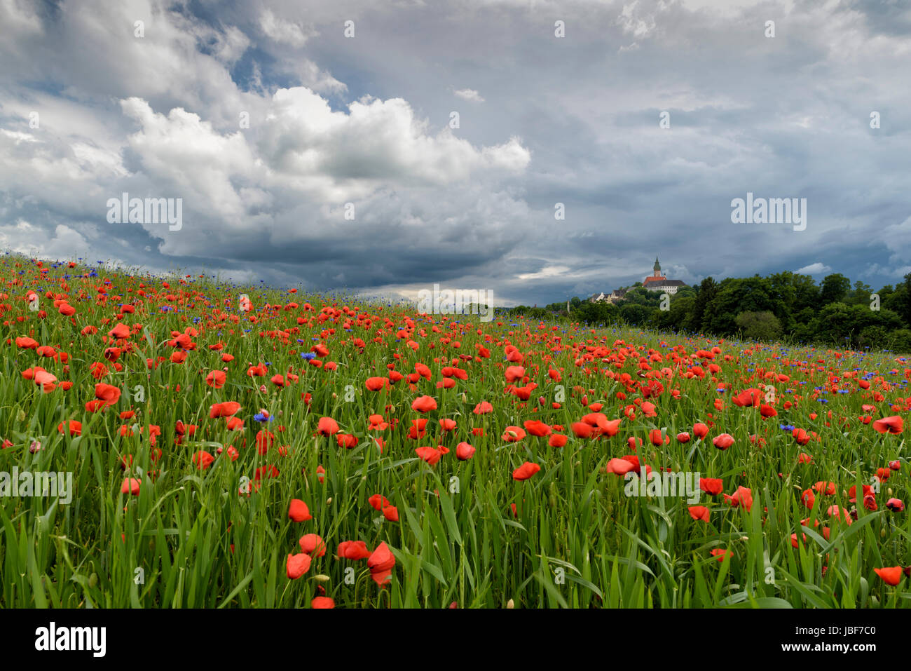 Thunderstorm over monastery Andechs with poppy field and cornflowers, pilgrimage church, Starnberg district, Upper Bavaria Stock Photo