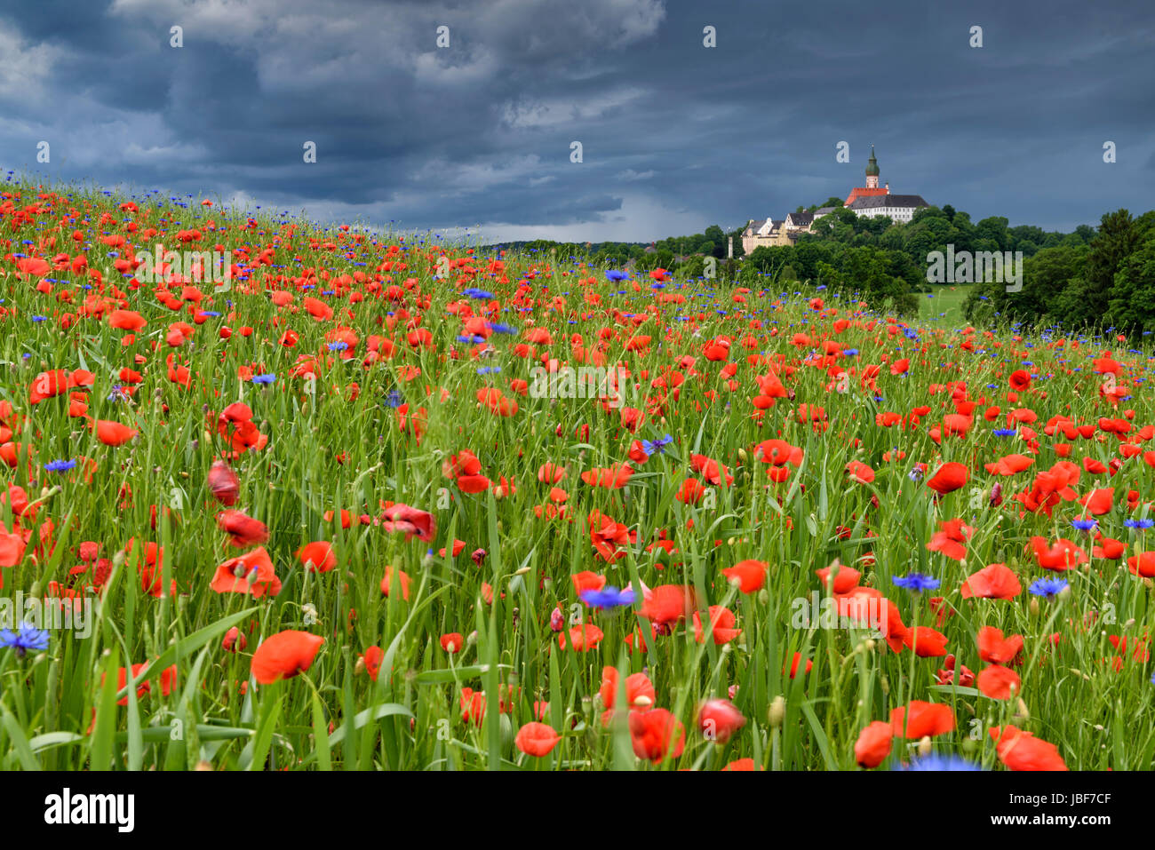 Thunderstorm over monastery Andechs with poppy field and cornflowers, pilgrimage church, Starnberg district, Upper Bavaria Stock Photo