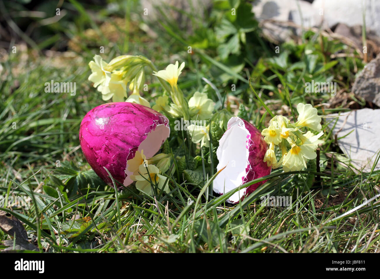 the pink easter egg Stock Photo