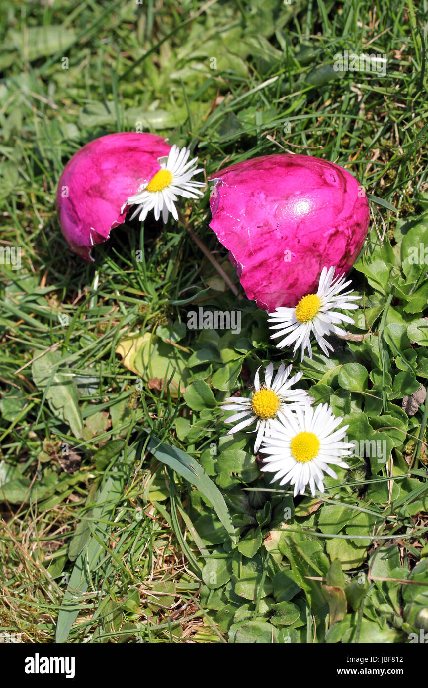 the pink easter egg Stock Photo