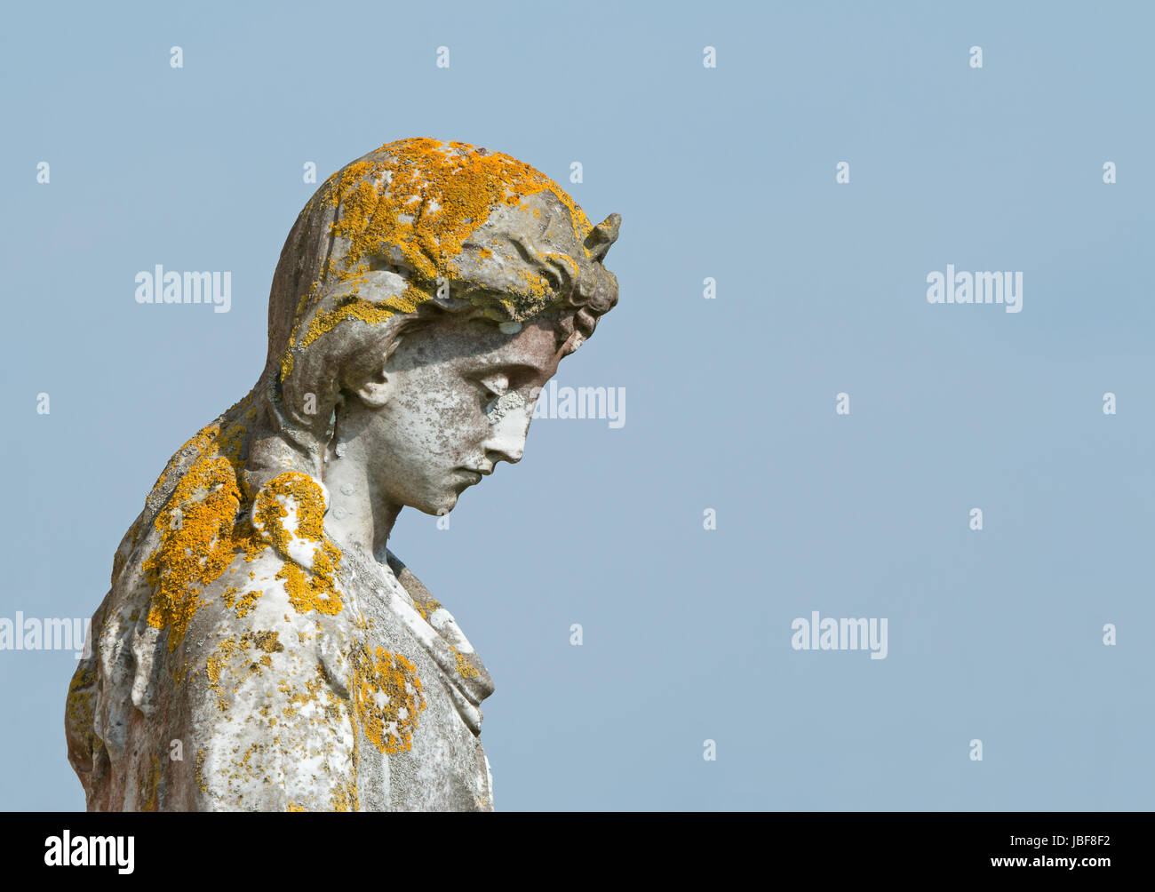 Statue with growth of different types of lichen Stock Photo