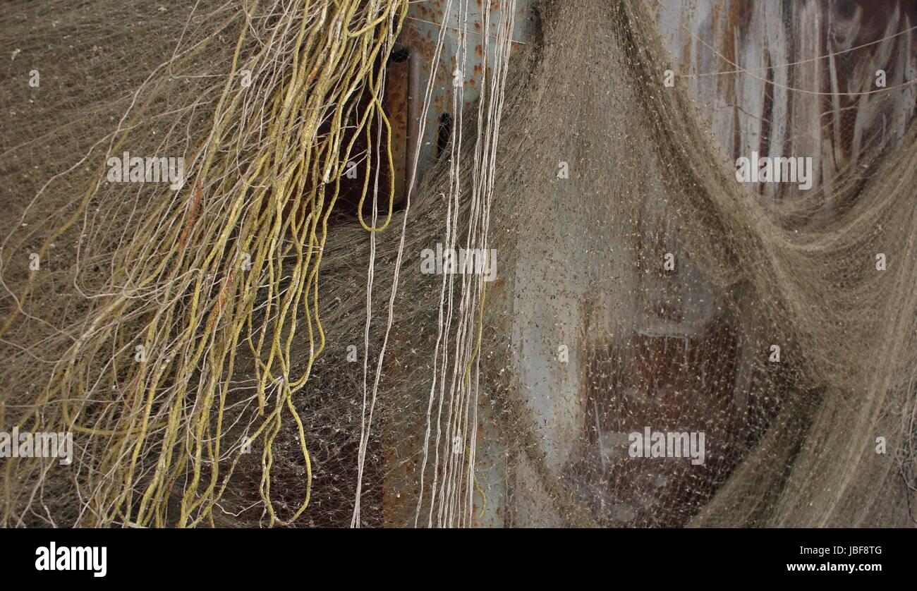 Dry net. Dry net