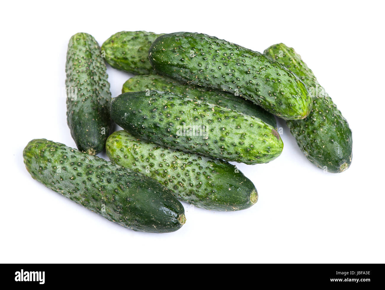 Огурец фурор f1. Огурец фурор семена. Огурец. Шт огурец 2 3. Белые огурцы.