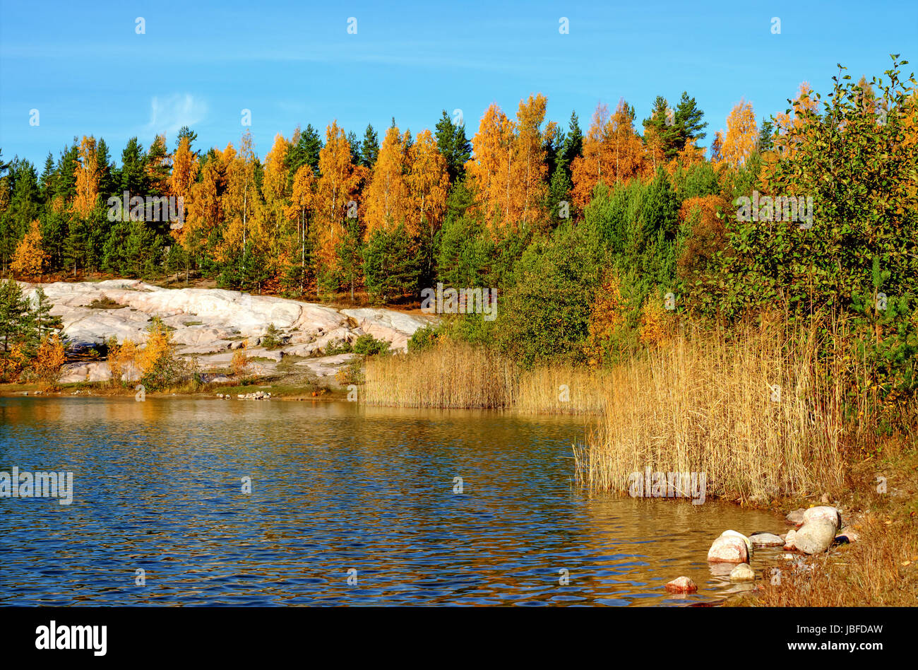 Forest lake landscape with beautiful autumn colors and reflections ...