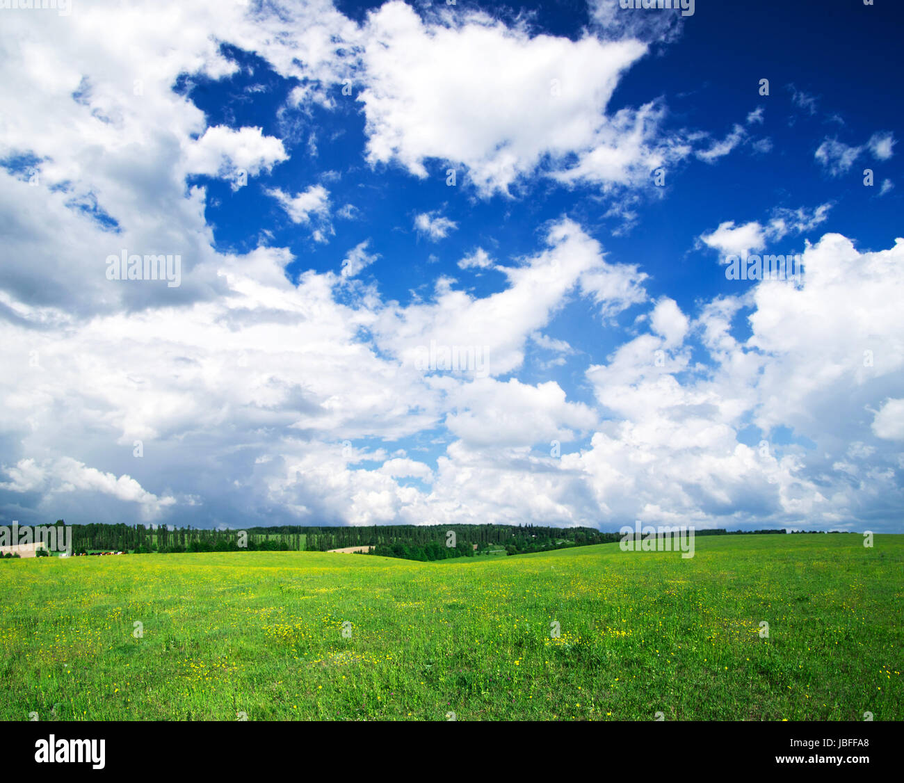 green field and blue sky Stock Photo - Alamy