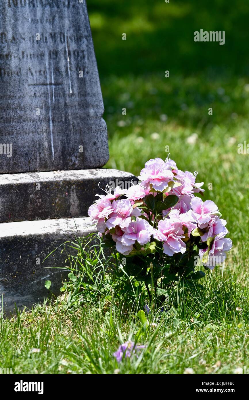 Flowers laid next to grave site Stock Photo Alamy