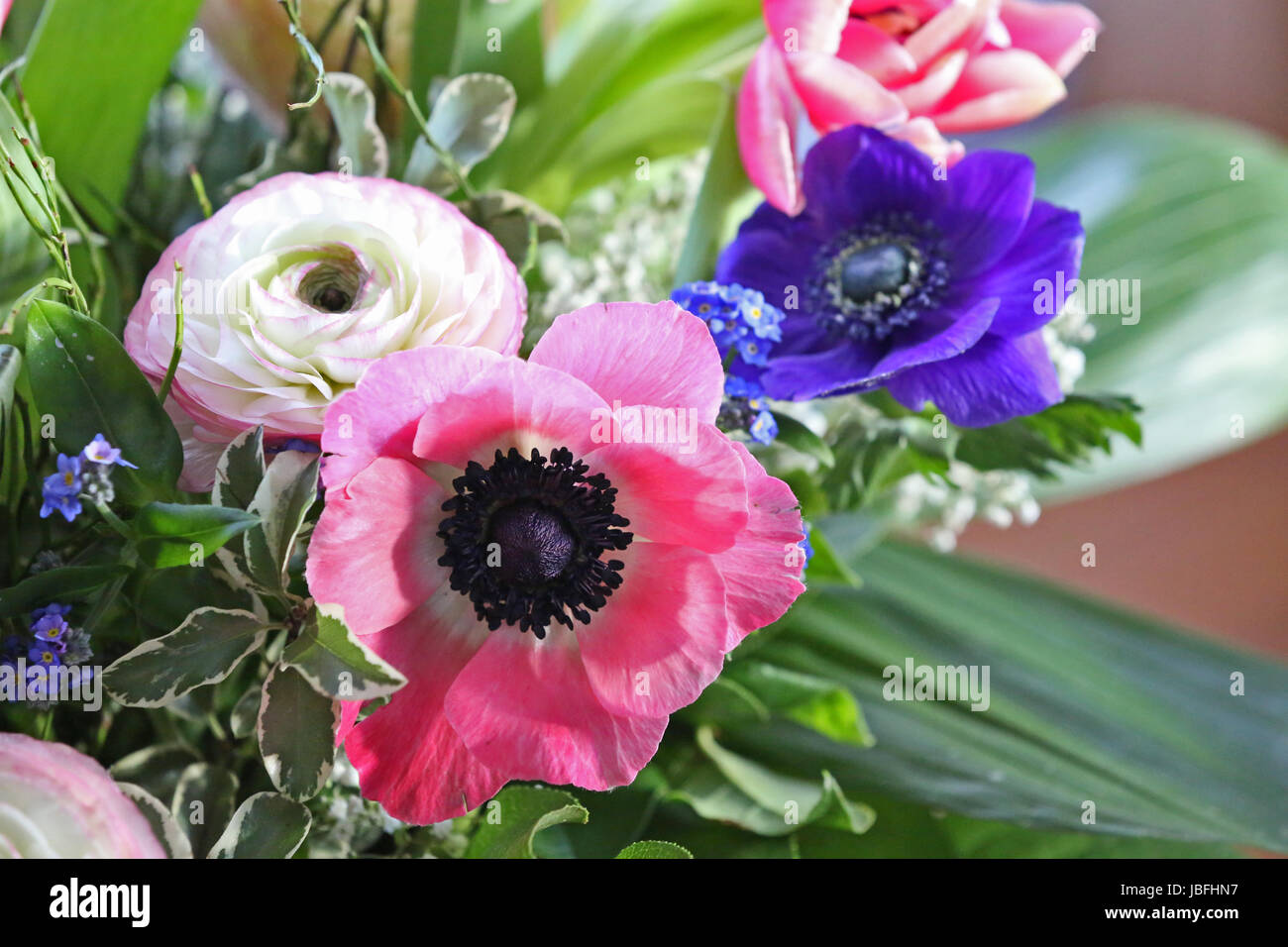 Blumenstrauss Mit Anemonen Ranunkeln Tulpen Stock Photo Alamy