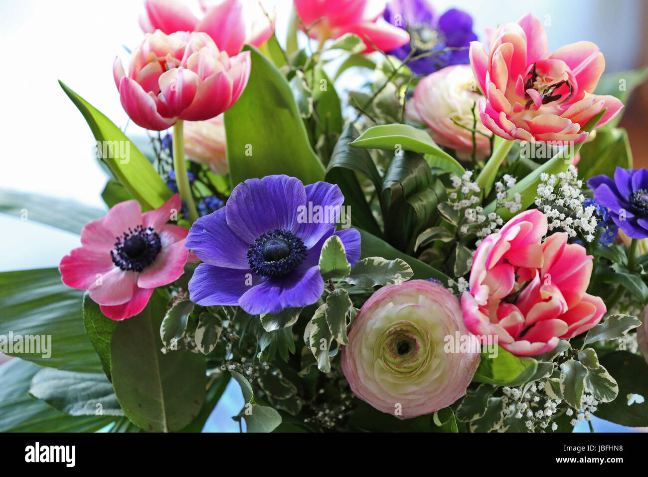 blumenstrauss mit anemonen, ranunkeln,tulpen Stock Photo