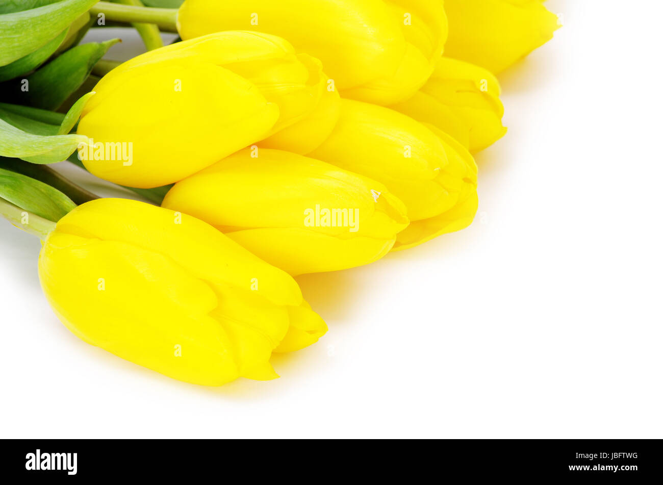 bouquet of yellow tulips isolated on white Stock Photo - Alamy
