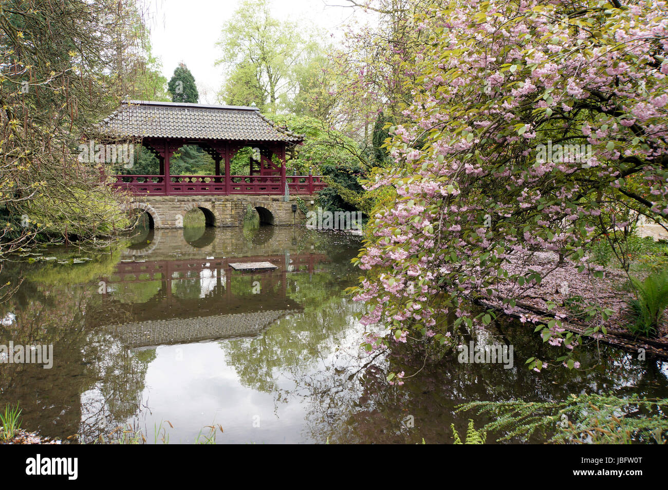 Japanischer Garten, Leverkusen, NordrheinWestfalen, Deutschland Stock