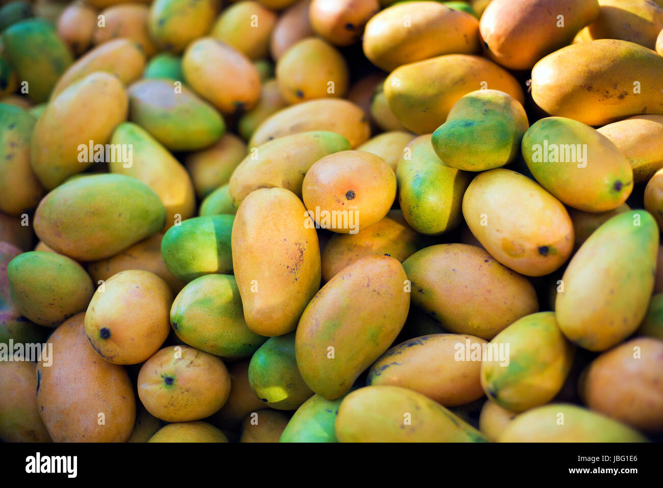 Fresh mangoes in pickup truck on the street Stock Photo Alamy