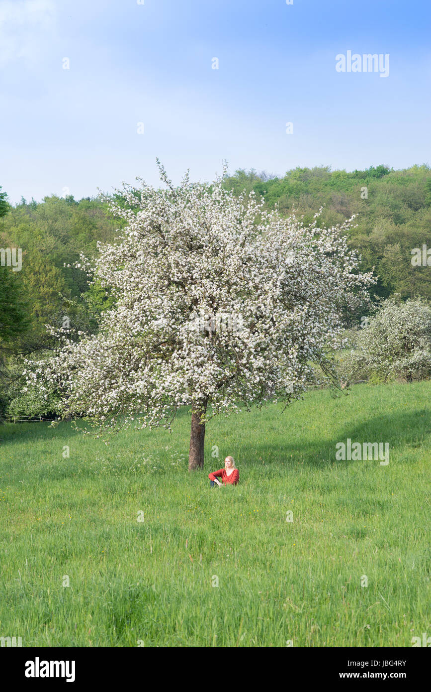 woman on a spring meadow Stock Photo
