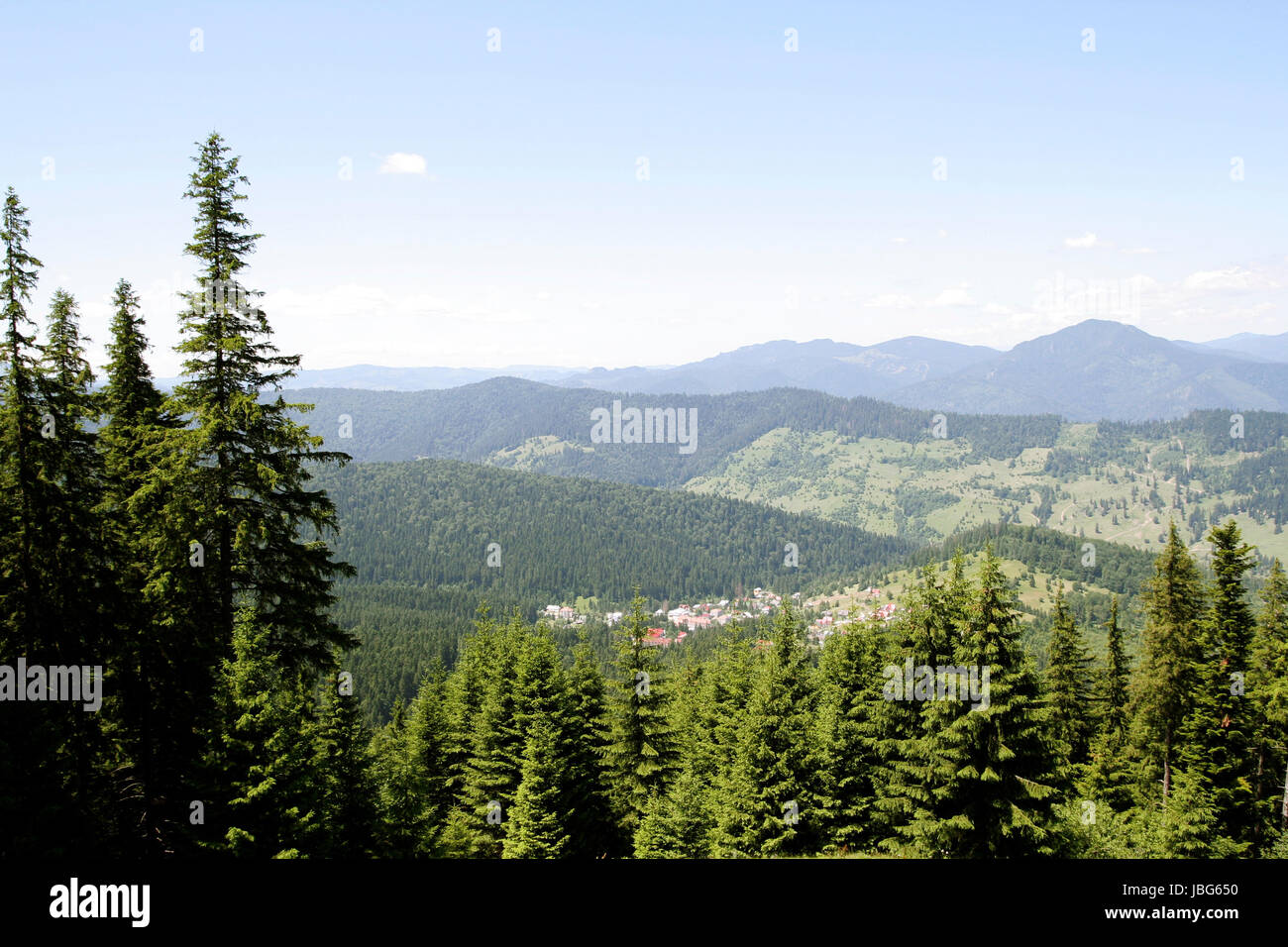 Mountains with green forest landscape Stock Photo - Alamy