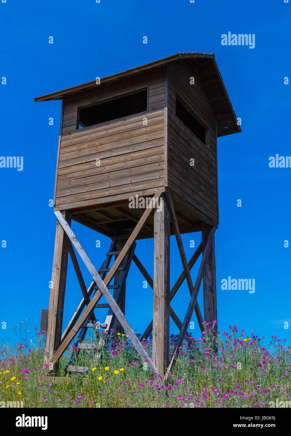 Wildlife observation tower in protected Natura area in Lake Kotichi, Ilia prefecture in Greece, one of the many protected areas, where the visitor can Stock Photo