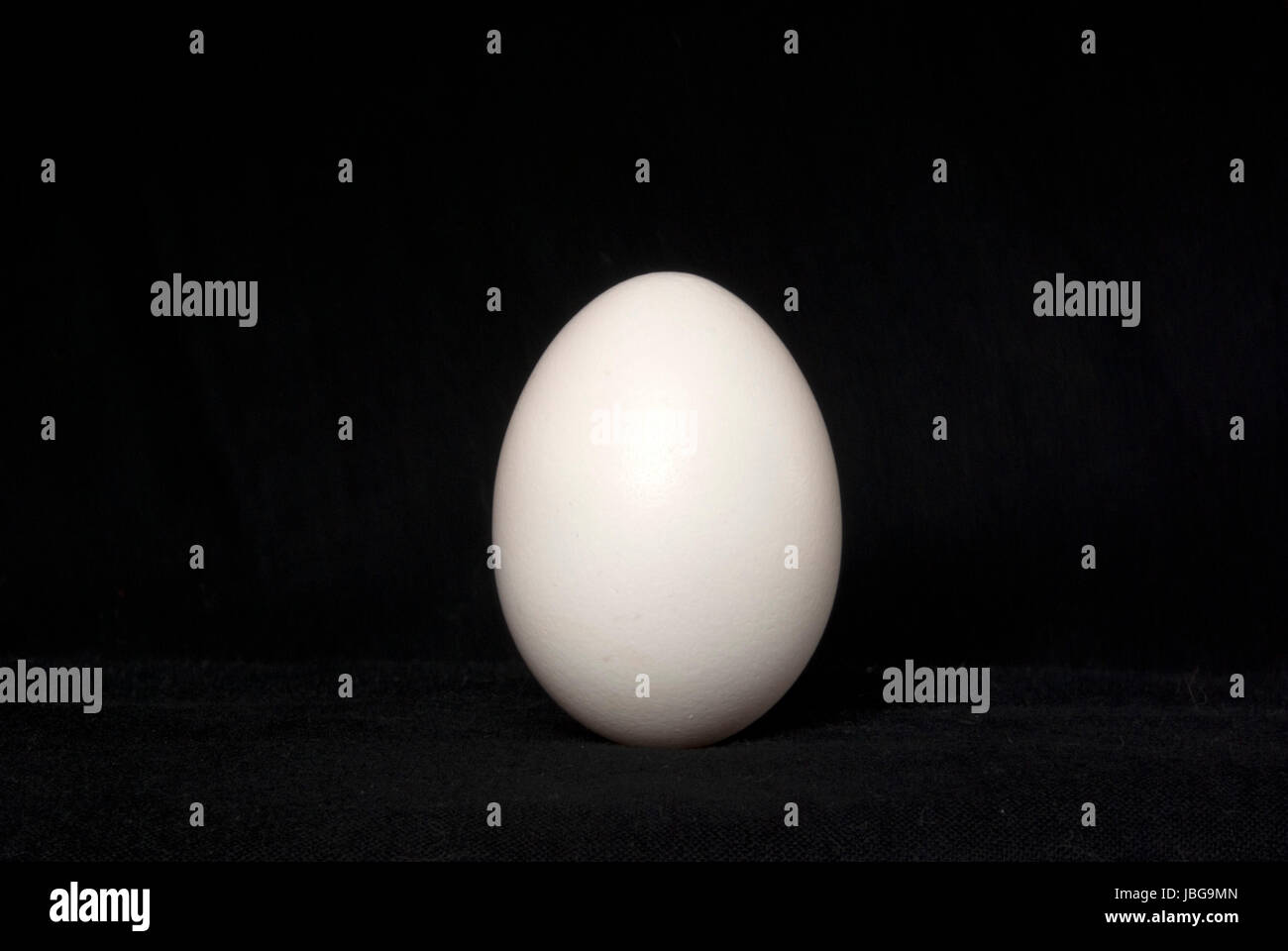white chicken egg on black background Stock Photo - Alamy