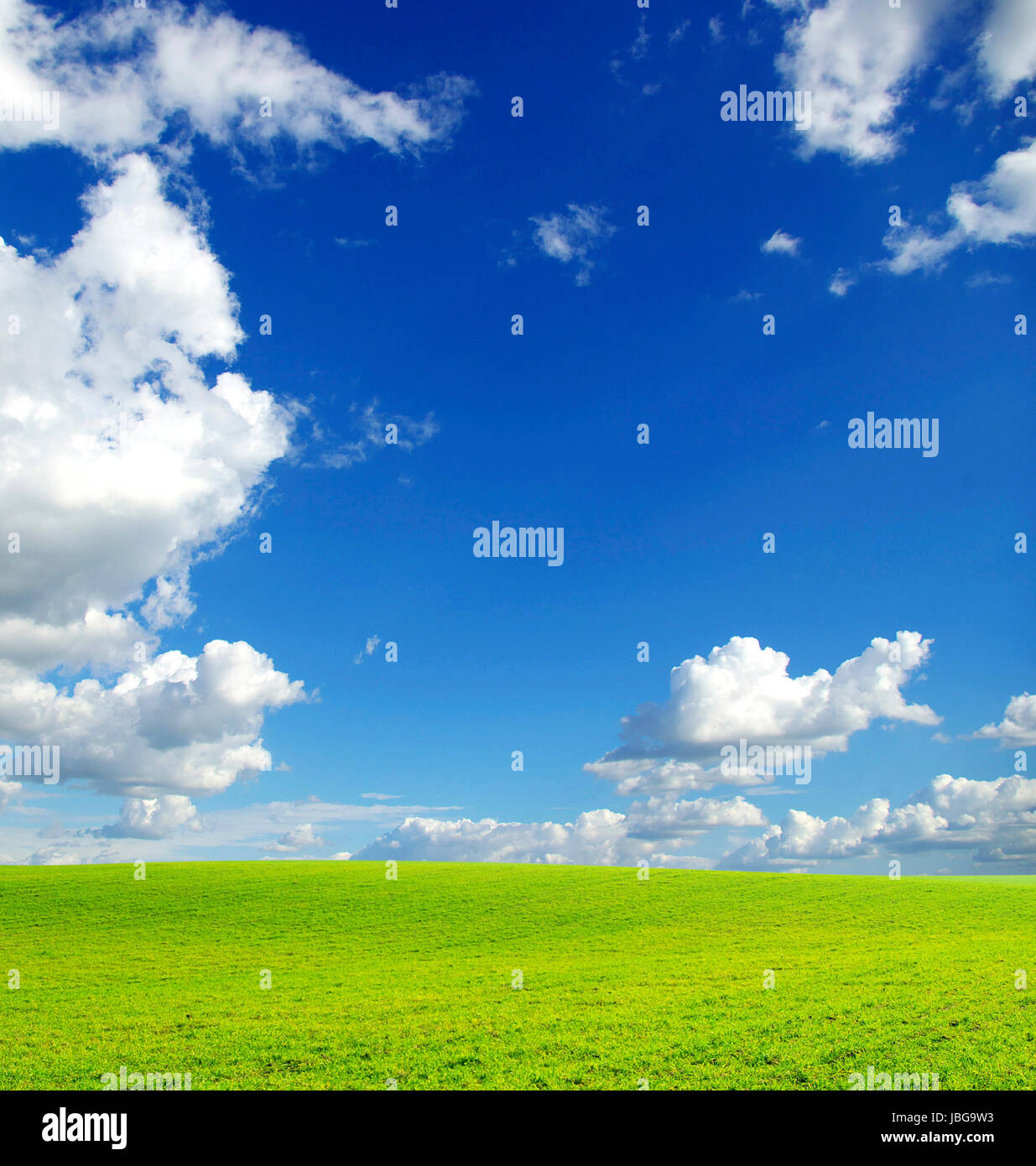 field on a background of the blue sky Stock Photo